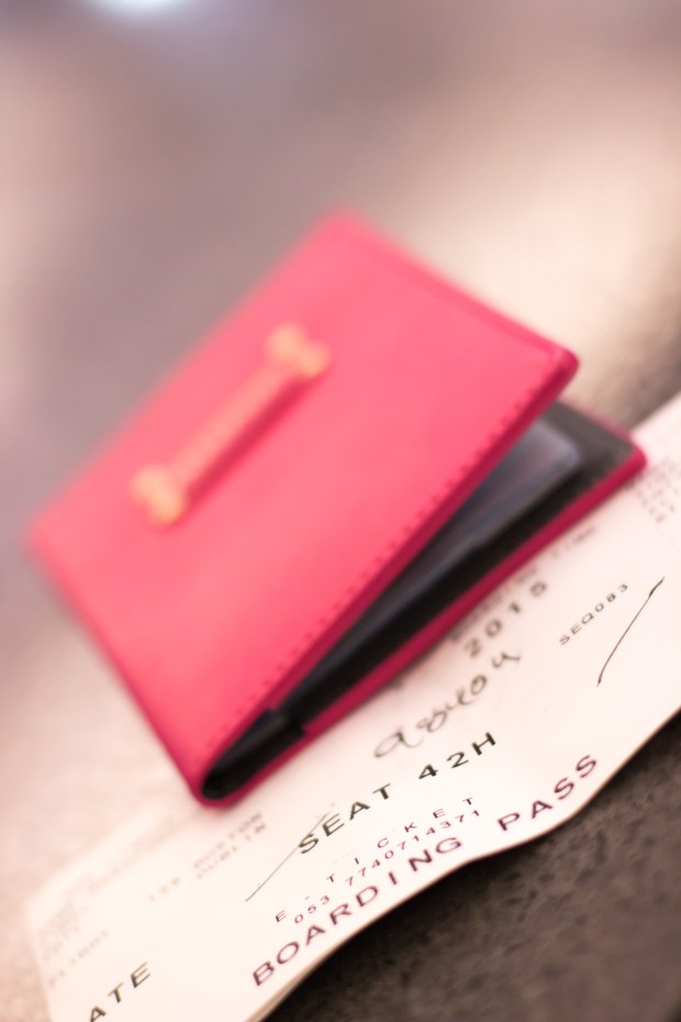 Ireland_TakingOff_006