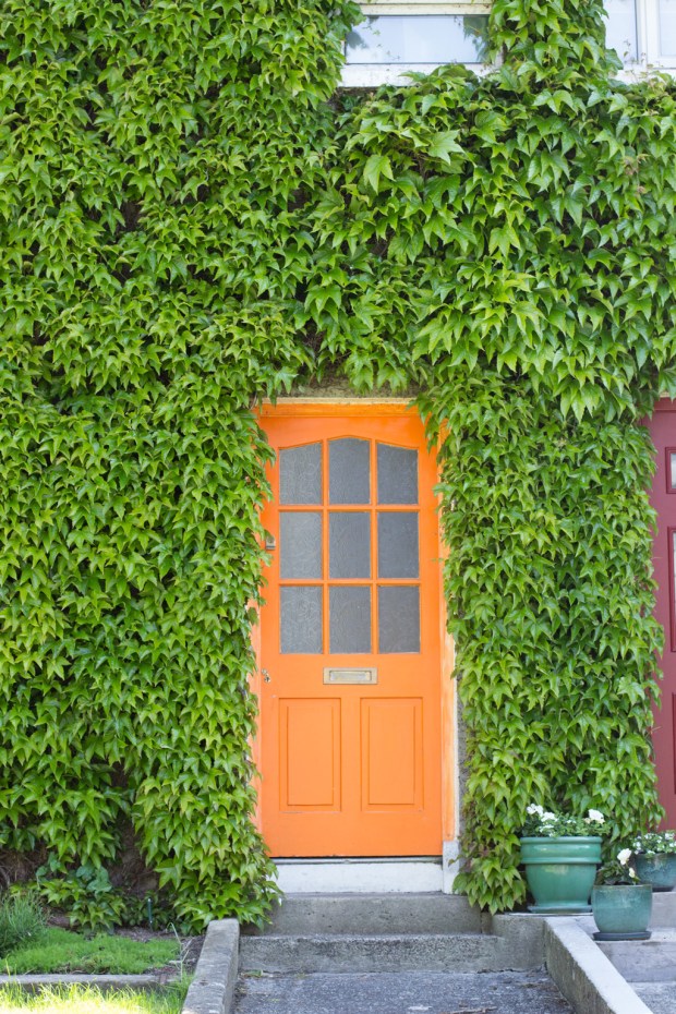 BIreland_Tuesday_002