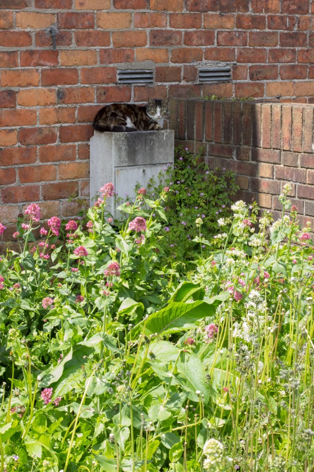 BIreland_Tuesday_026