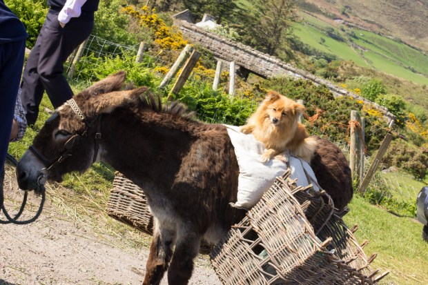 BIreland_Tuesday_039