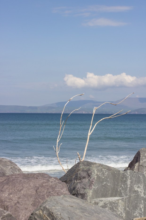 BIreland_Wednesday_003