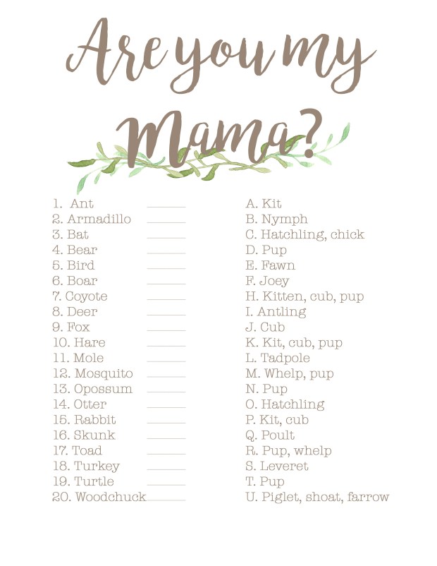 Are You My Mama?_edited-1