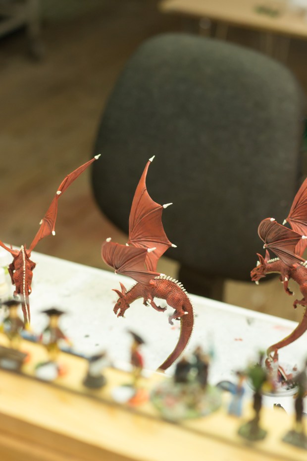 BIreland_Thursday_007