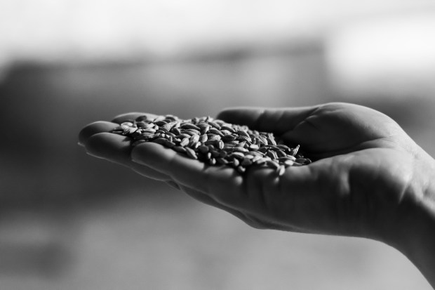 BIreland_Weekend_043